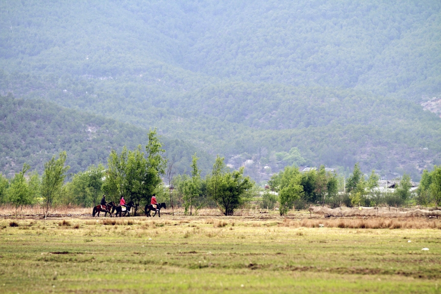 _MG_2552.jpg