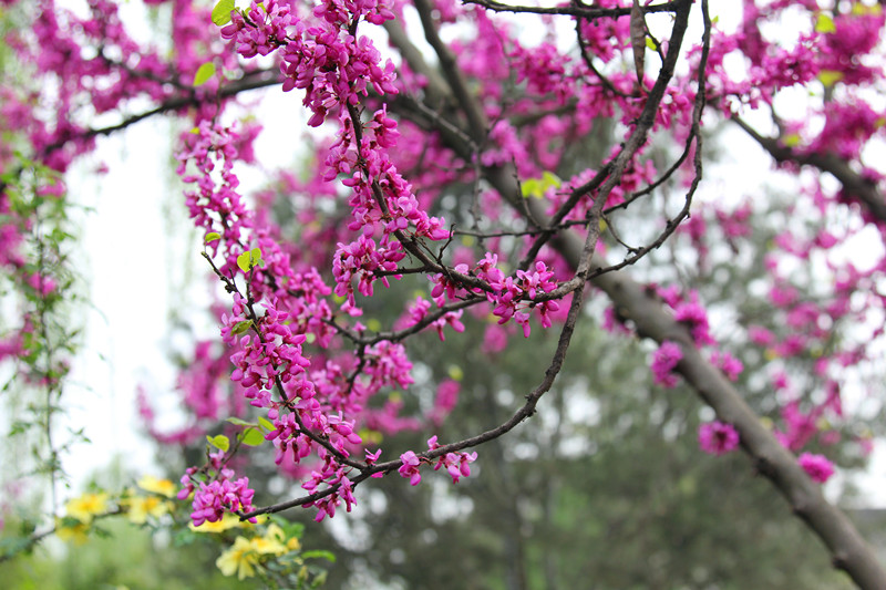 IMG_6766_副本.jpg