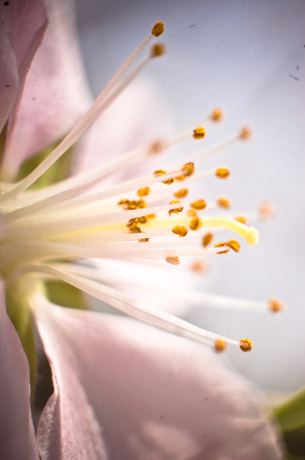x_large_NhsF_0f5d00002fa21262.jpg
