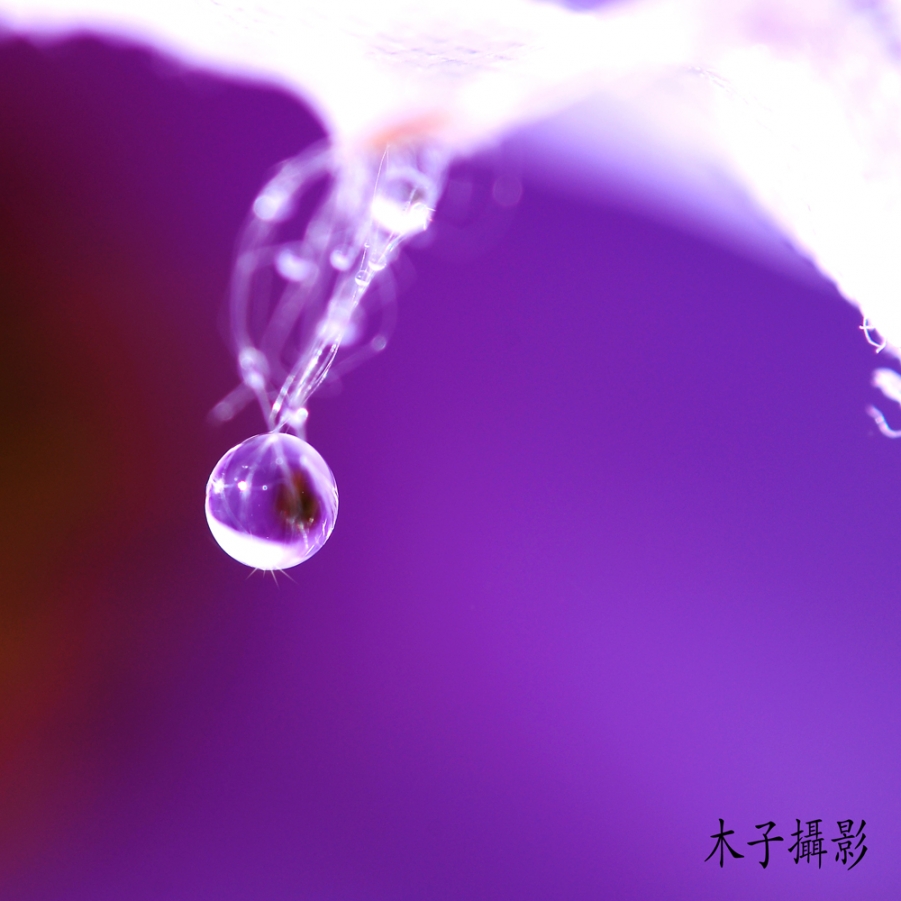6副本副本.jpg