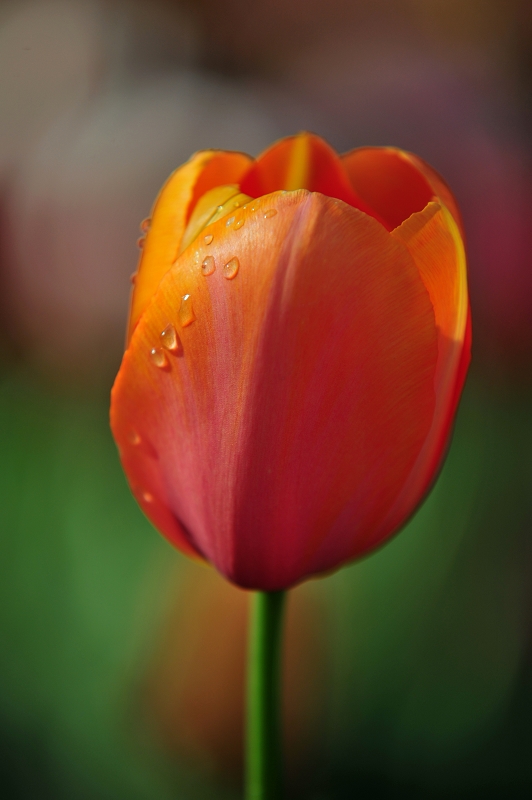 DSC_3359.jpg