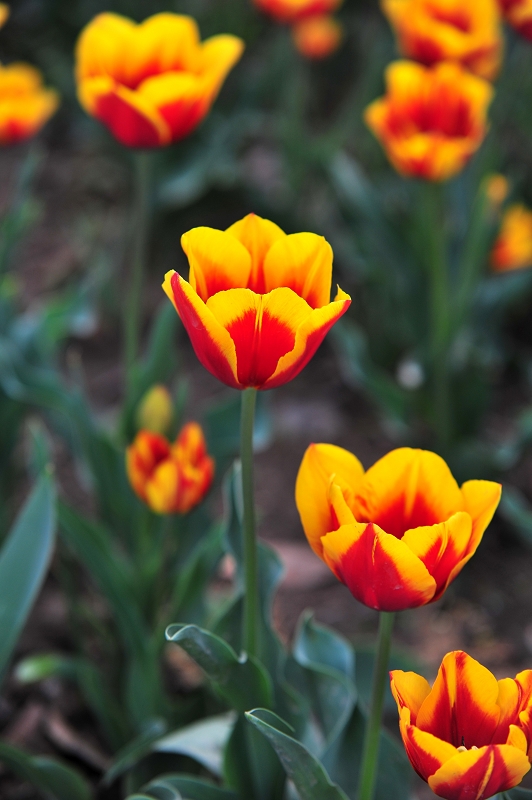 DSC_3404.jpg