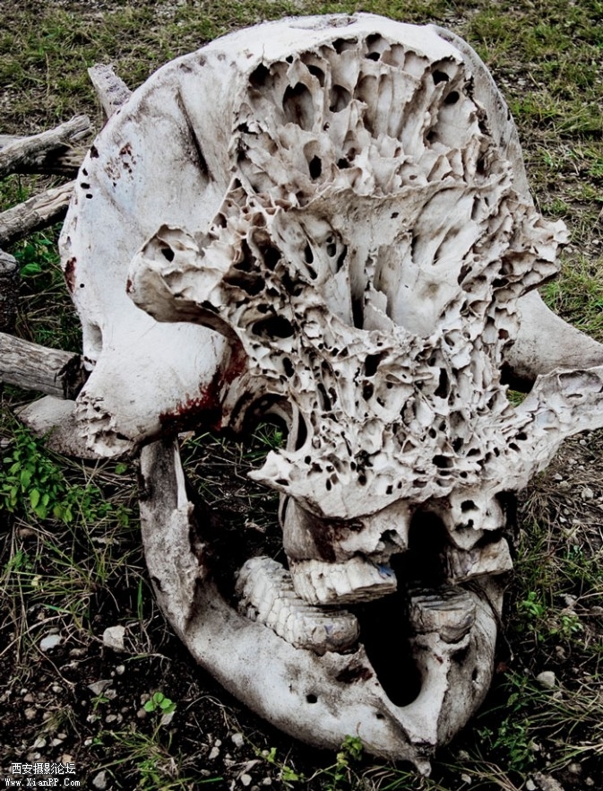 P122-2-673x882.jpg