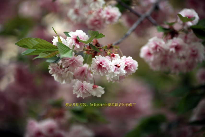 nEO_IMG_IMG_8657.jpg