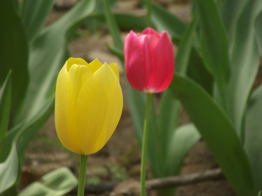DSCF3277.JPG
