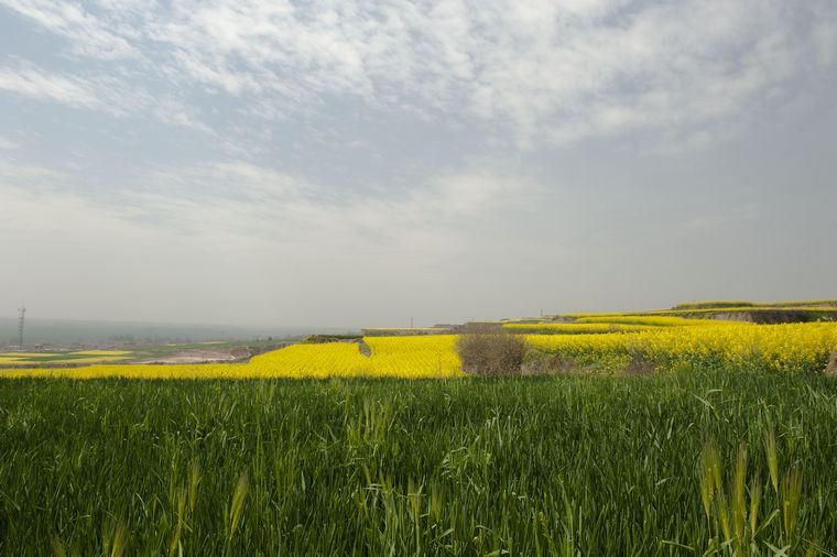 DSC_4307.jpg