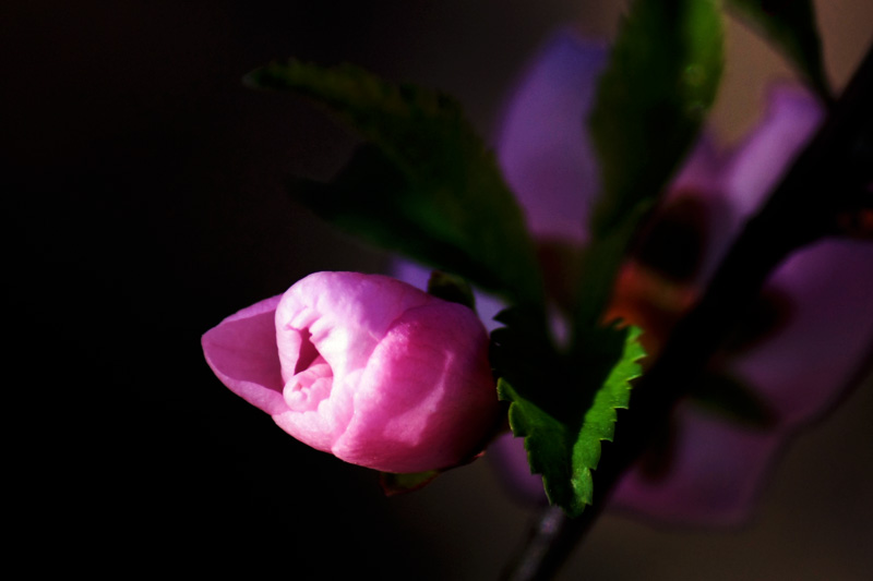 照片 062.jpg
