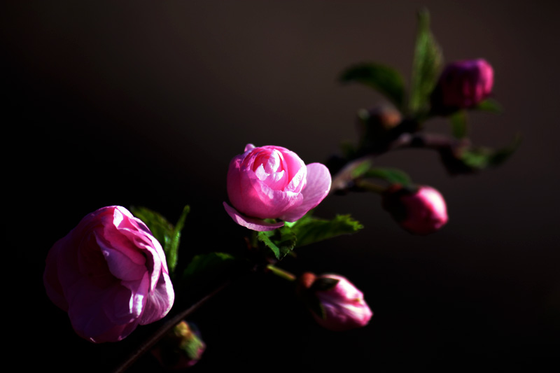 照片 082.jpg
