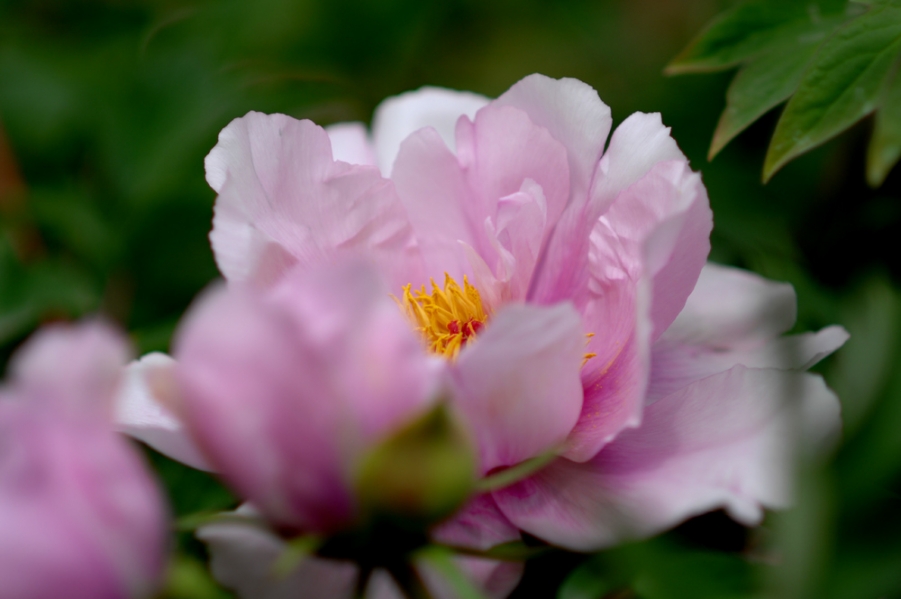 DSC_0050.JPG