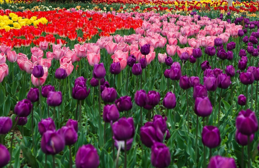 20120417-XHQ_8888.jpg