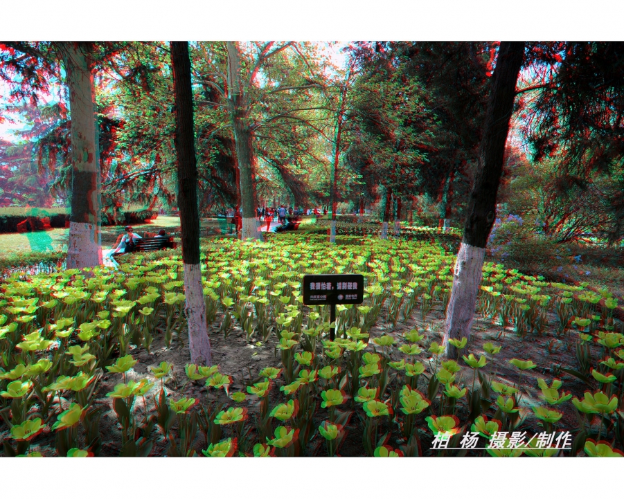 p_1.jpg