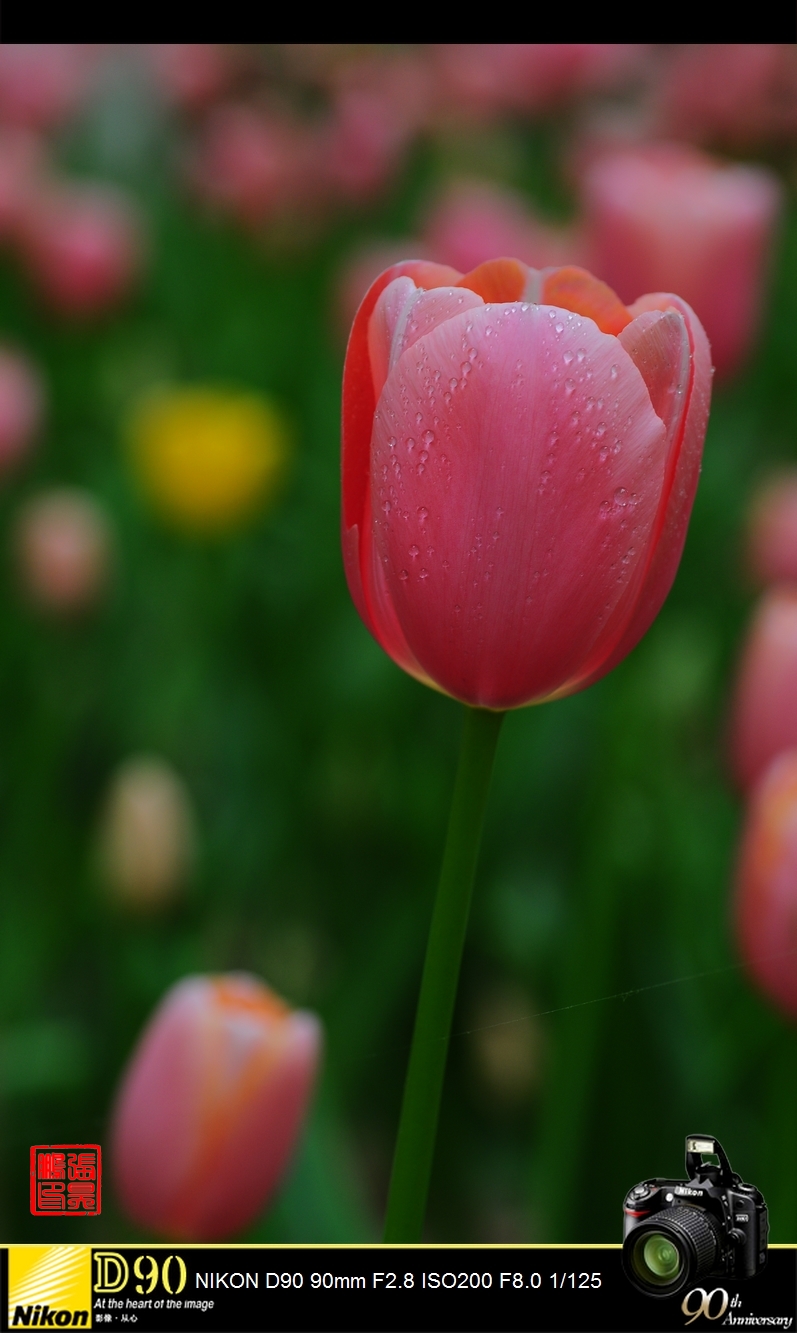 DSC_0019.jpg