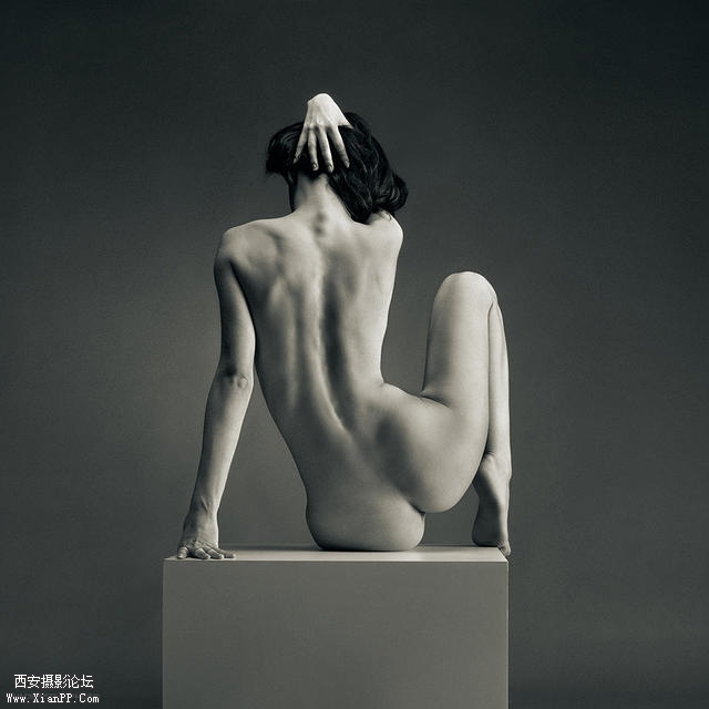 Vadim-Stein02.jpg