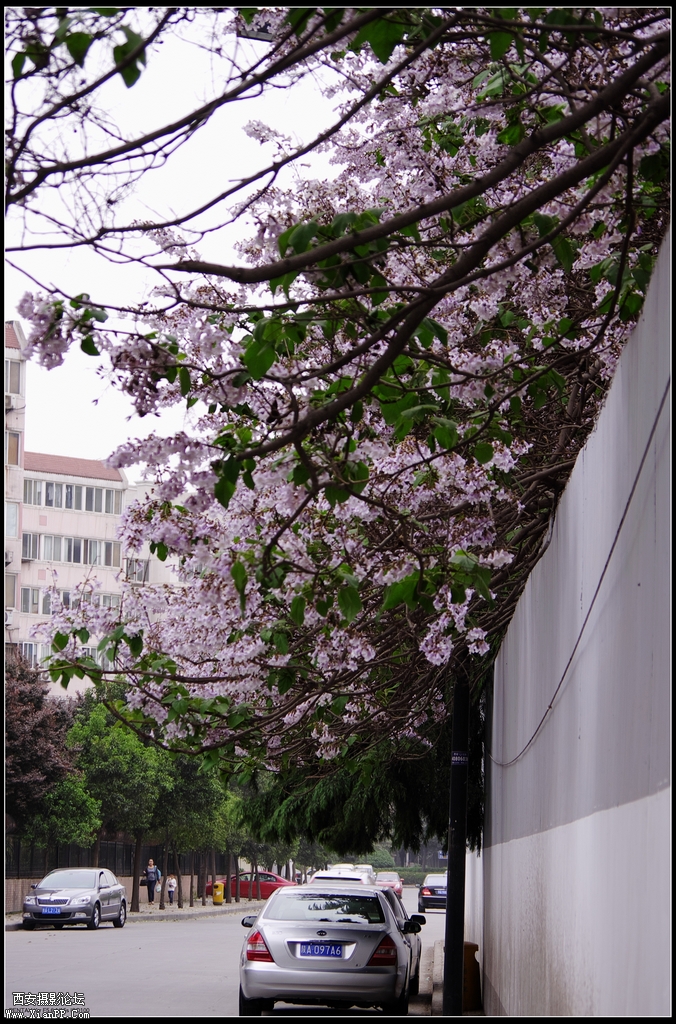 IMGP8492.jpg
