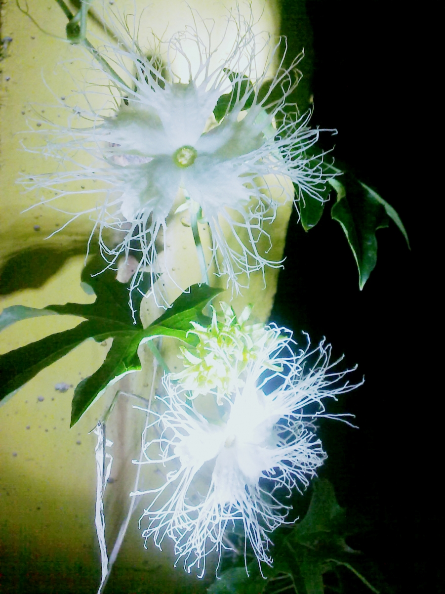 20110618450.jpg