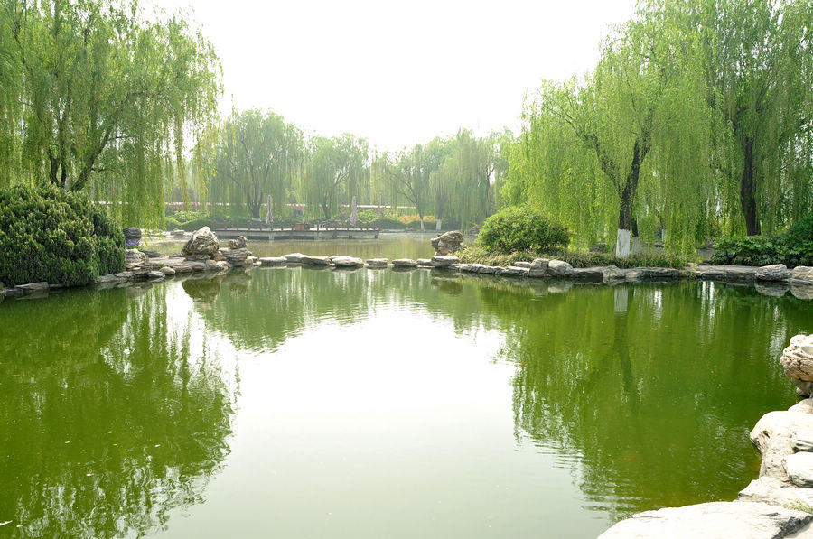 DSC_5479.JPG