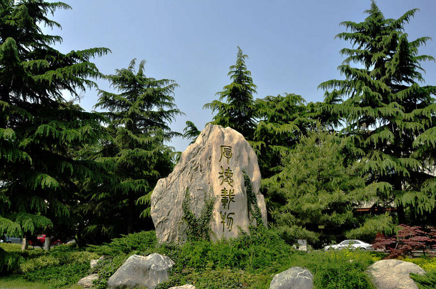 DSC_5484.JPG