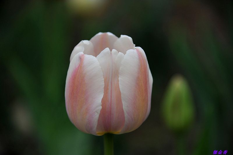 0SC_9001.jpg