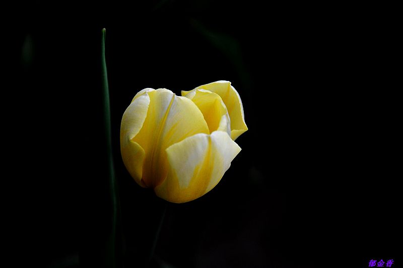 0SC_9244.jpg