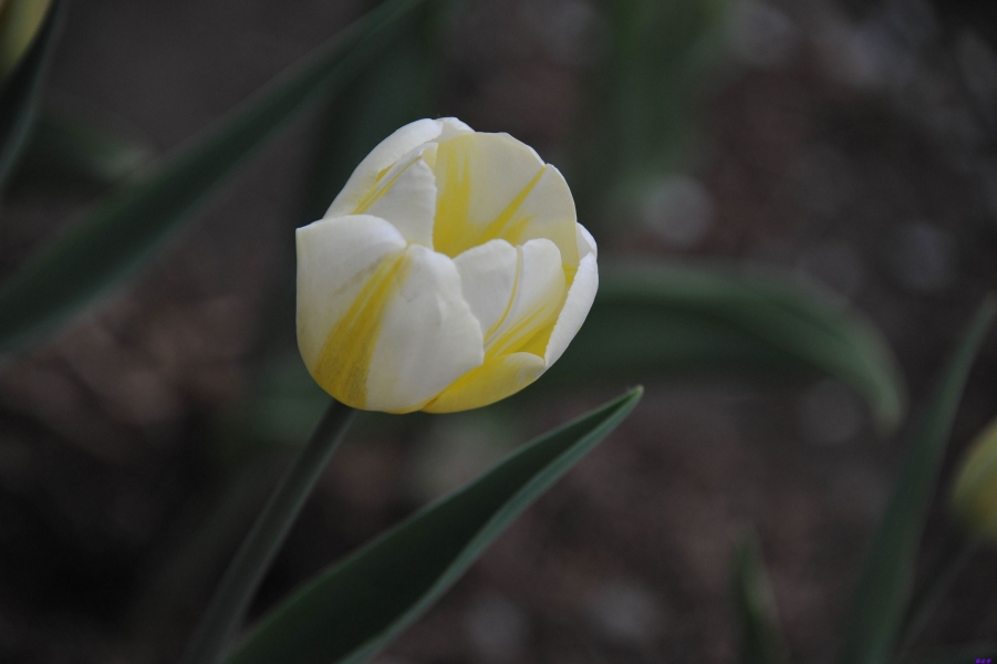 0SC_9246.jpg