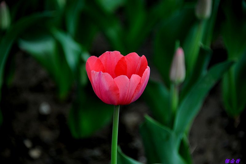 0SC_9250.jpg