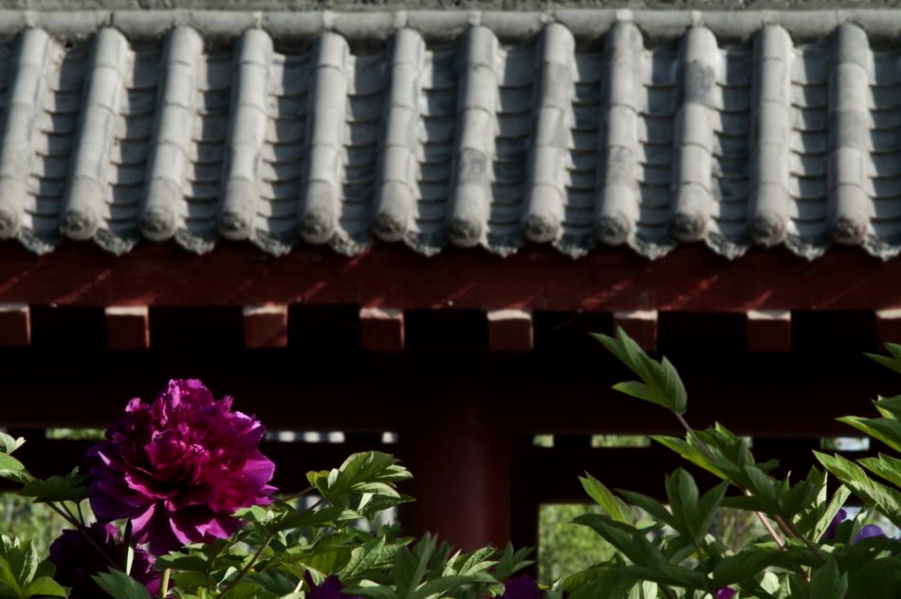 DSC_4603_调整大小.jpg