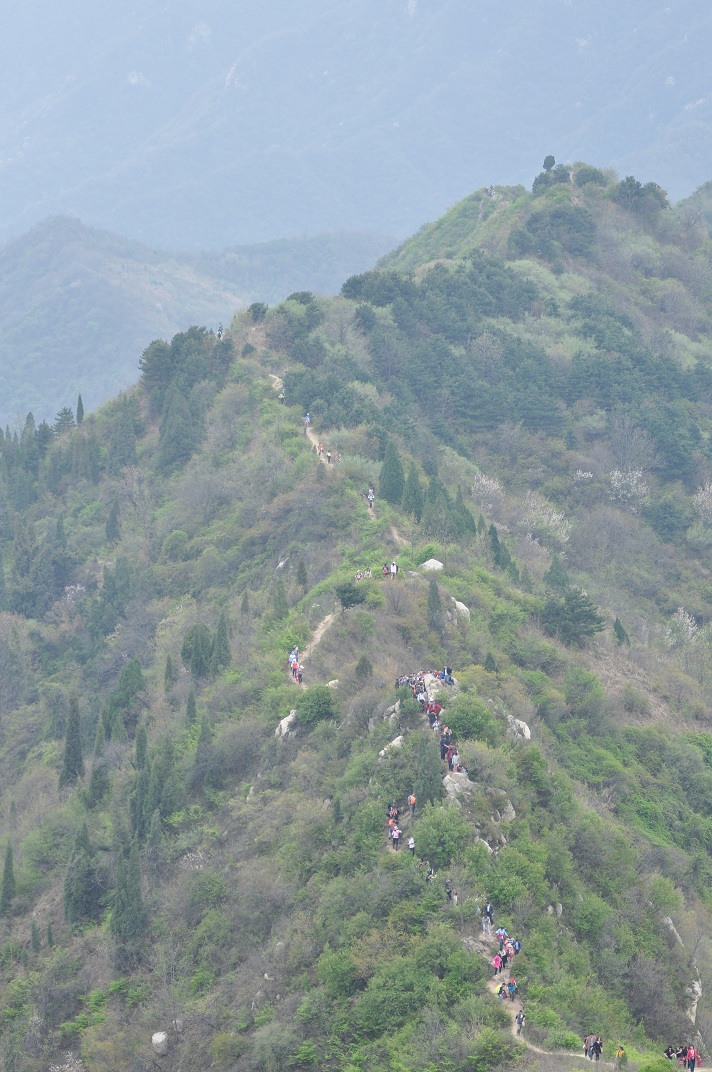 DSC_0196.JPG