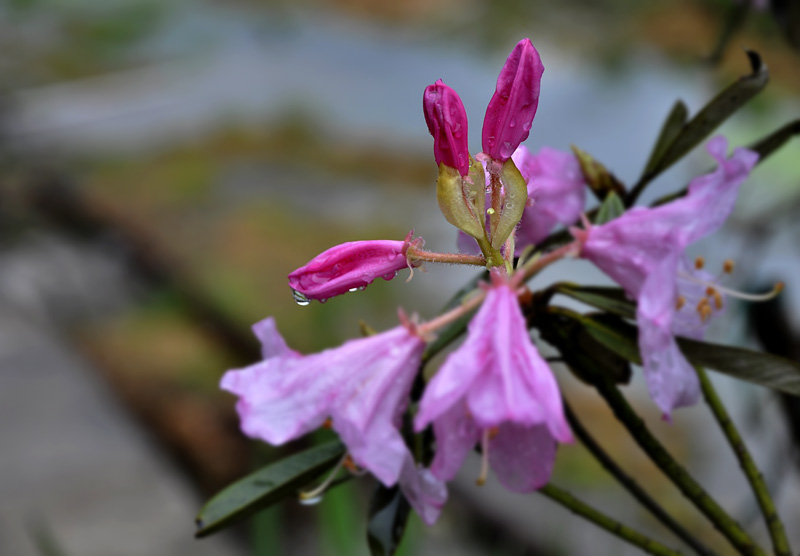 _DSC6942 复制.jpg