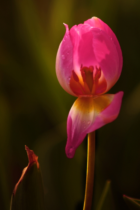 DPP_0015.JPG