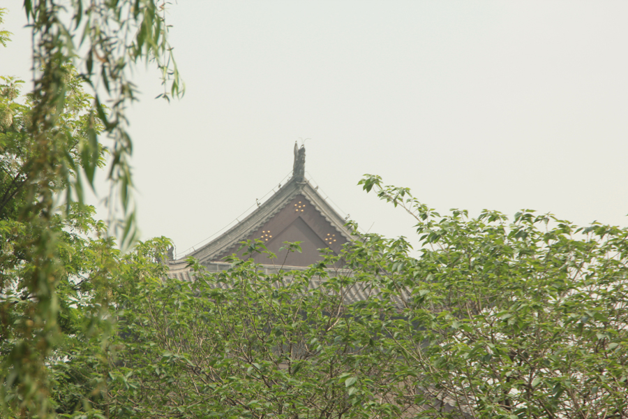 照片 063-1.jpg