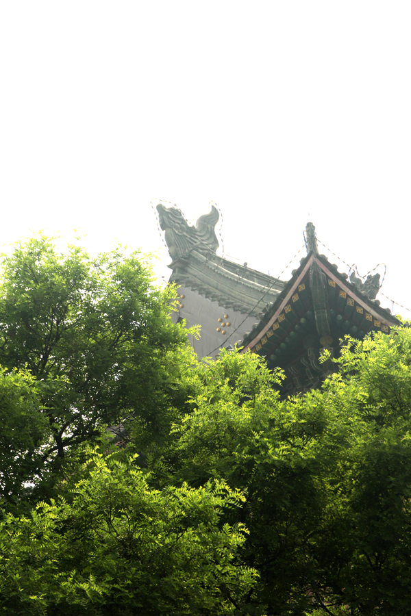照片 083色阶-1.jpg