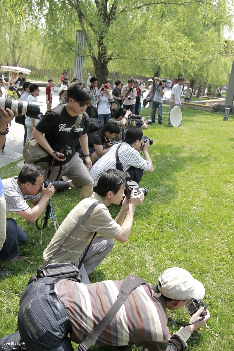 _MG_3817.jpg