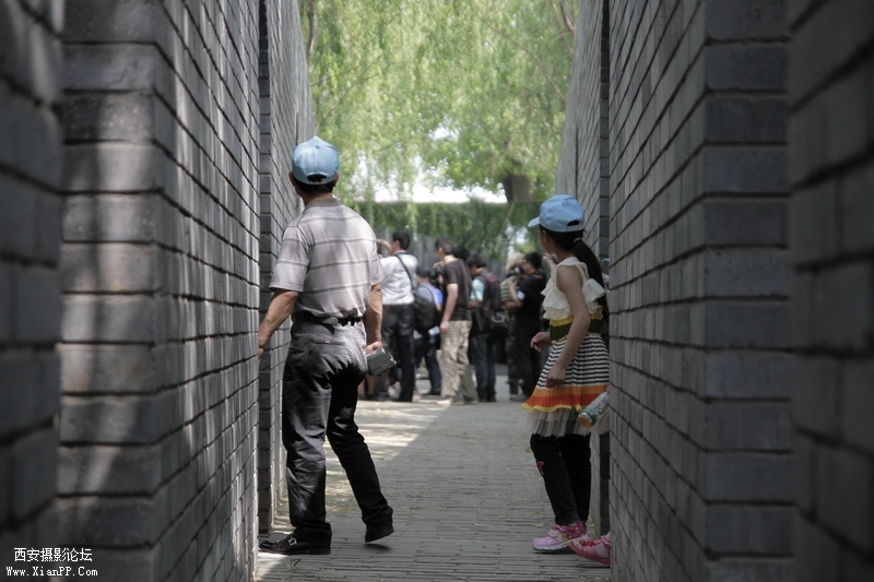 _MG_3886.jpg