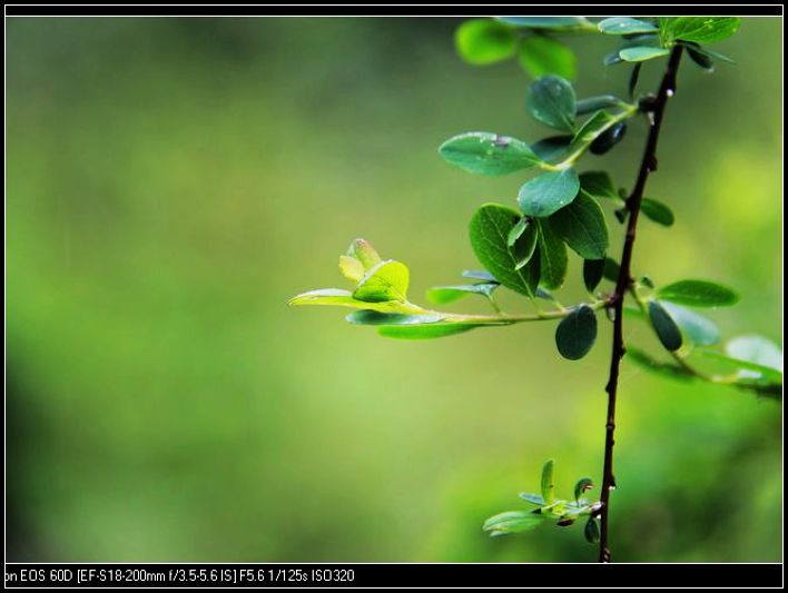 nEO_IMG_IMG_1164.jpg