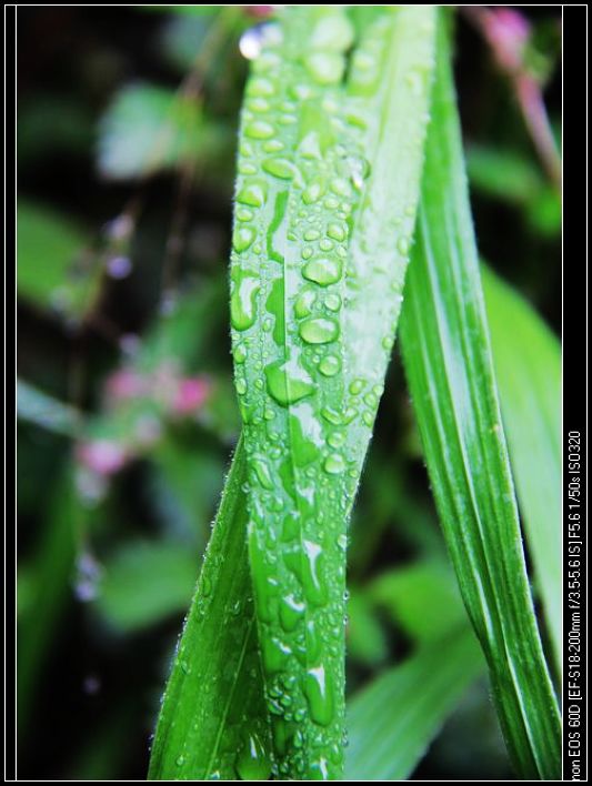 nEO_IMG_IMG_1234.jpg