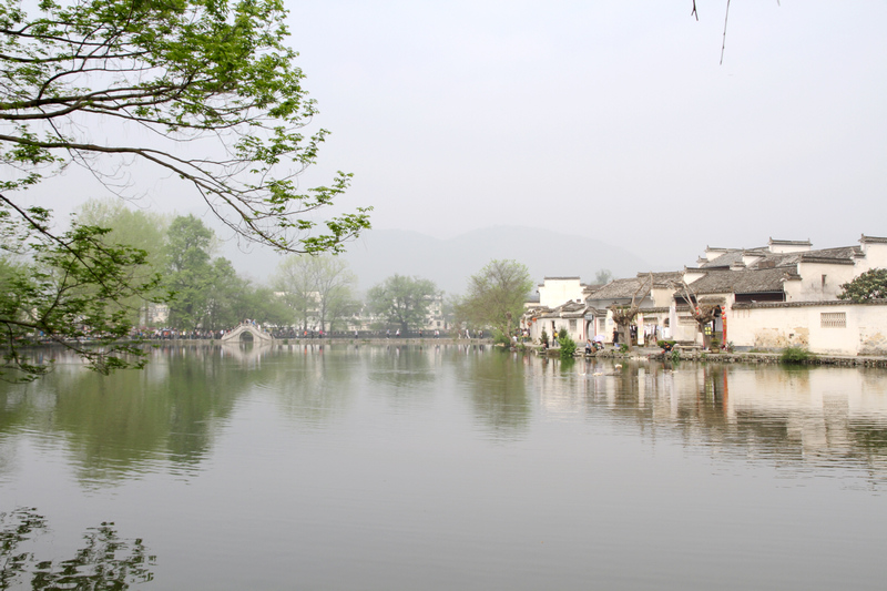 黄山旅游照片 752.jpg