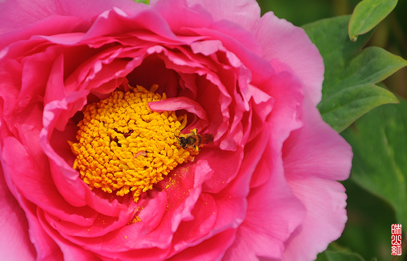 DSC_9773.jpg