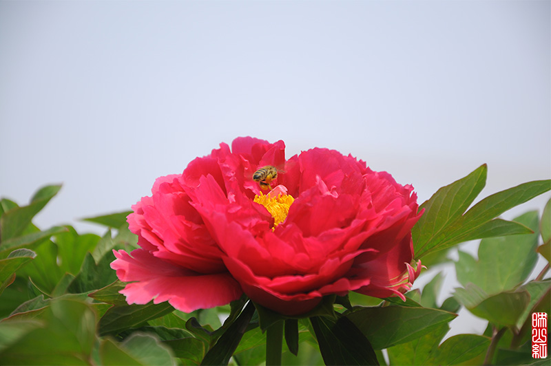 DSC_9791.jpg