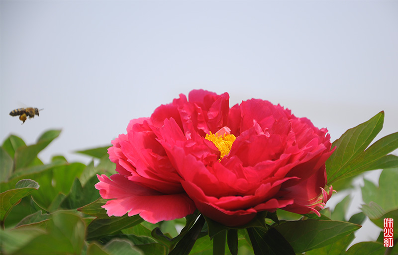 DSC_9793.jpg