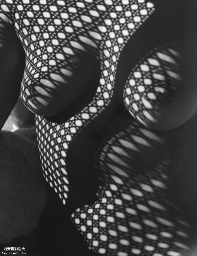 PATTERNITY_HONEYCOMB_WICKERBODY_FERNAND-FONSSAGRIVES.jpg2_.jpg
