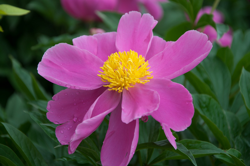DSC_1352.jpg