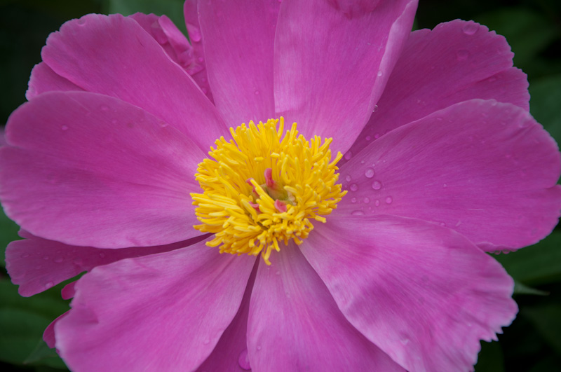 DSC_1372.jpg