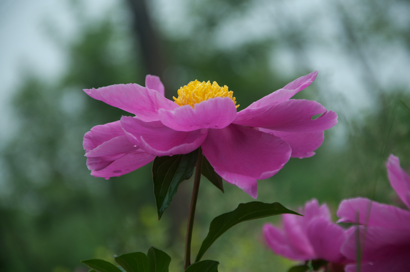 DSC_1379.jpg