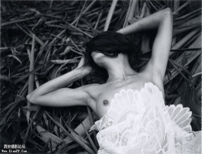shannon_pola_1-673x513.jpg