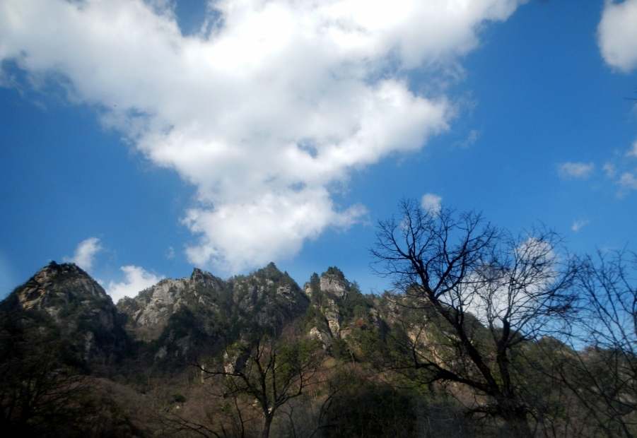 DSCN0458 副本.jpg