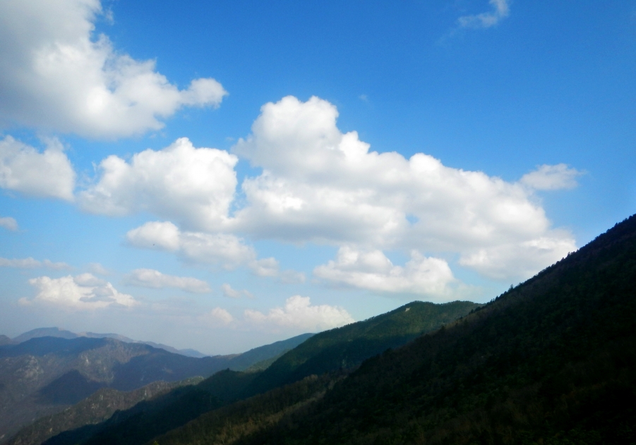 DSCN0486 副本.jpg