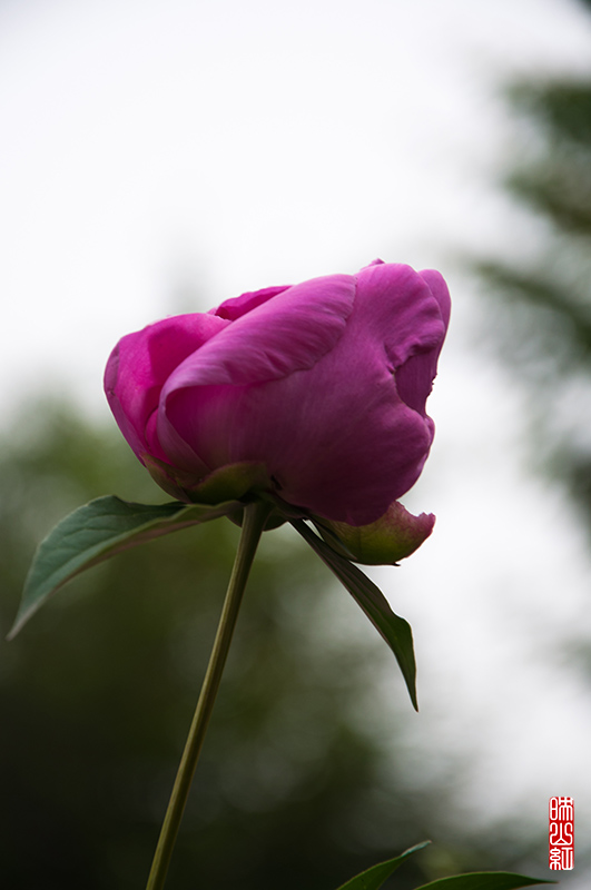 DSC_1402.jpg