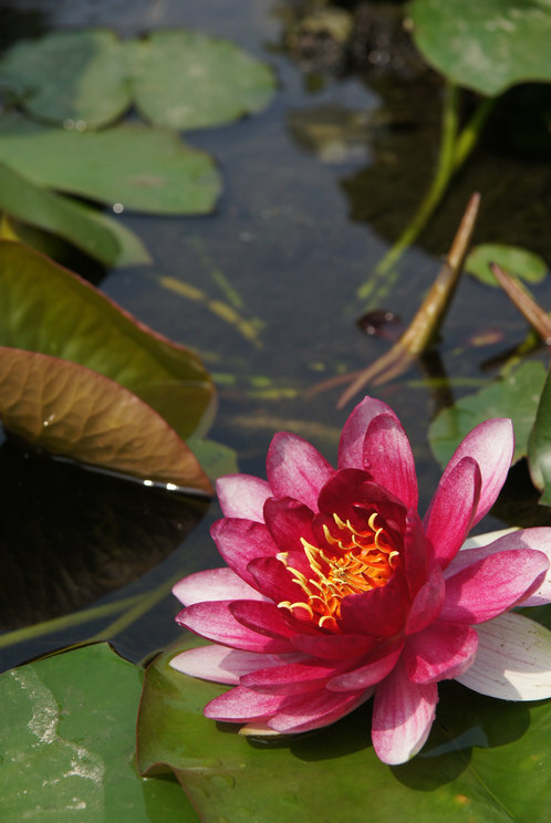 DSC08717.jpg