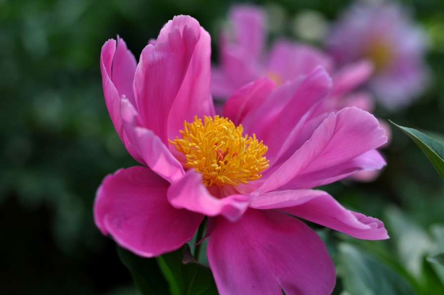 DSC_0636.JPG