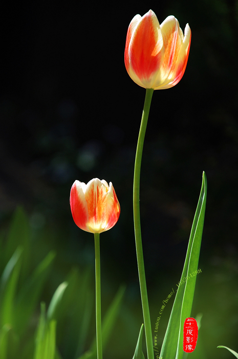 DSC_0121 拷贝.jpg